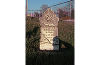 Eliza Brinson, Johnson Cemetery