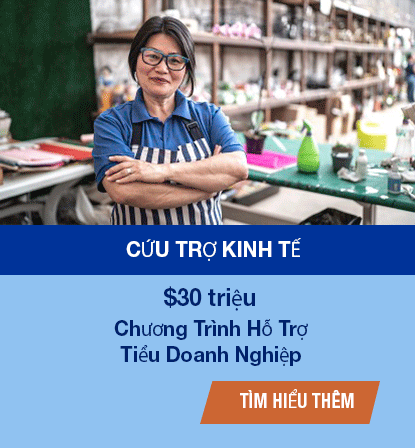 Small Business in Vietnamese