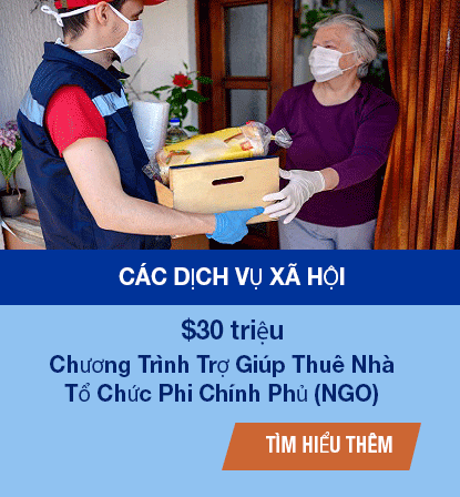 Social Services in Vietnamese