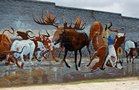 Bufallo mural in Fort Worth