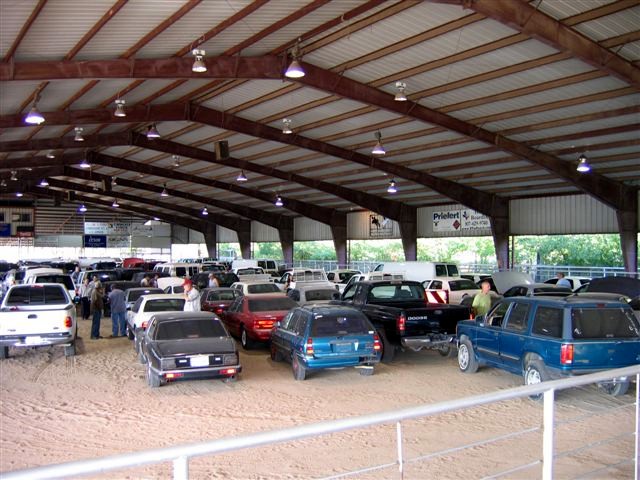 Cars in auction