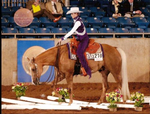 Horse O' Rama in Fort Worth
